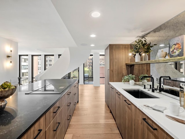 kitchen featuring a sink, modern cabinets, light wood finished floors, recessed lighting, and black electric stovetop
