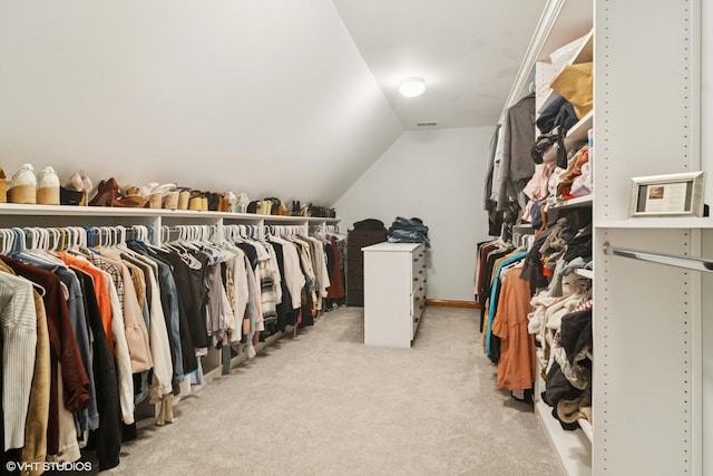26464 N Bittersweet Trl, Mundelein, IL 60060 - walk in closet with carpet and lofted ceiling