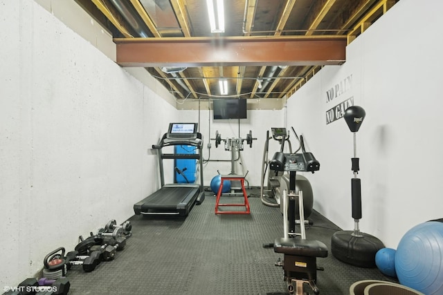 26464 N Bittersweet Trl, Mundelein, IL 60060 - view of workout area