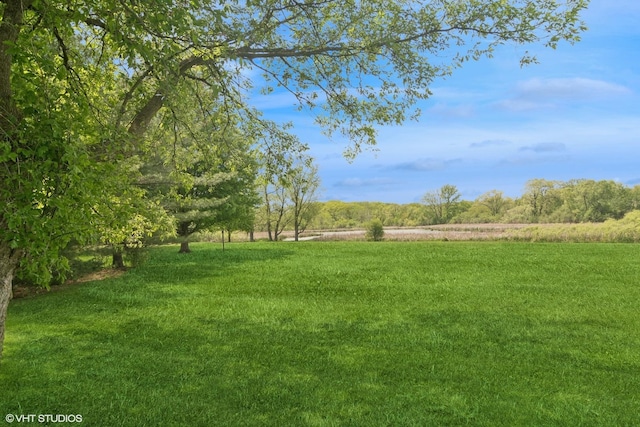 26464 N Bittersweet Trl, Mundelein, IL 60060 - view of grassy yard