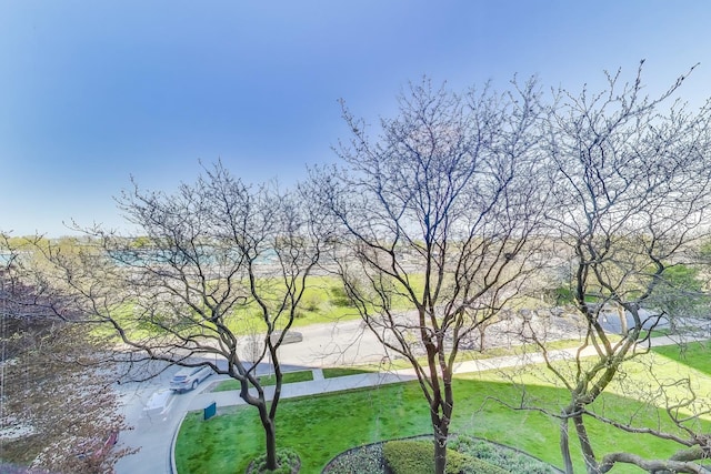 3180 N Lake Shore Dr Unit 4F, Chicago, IL 60657 - water view