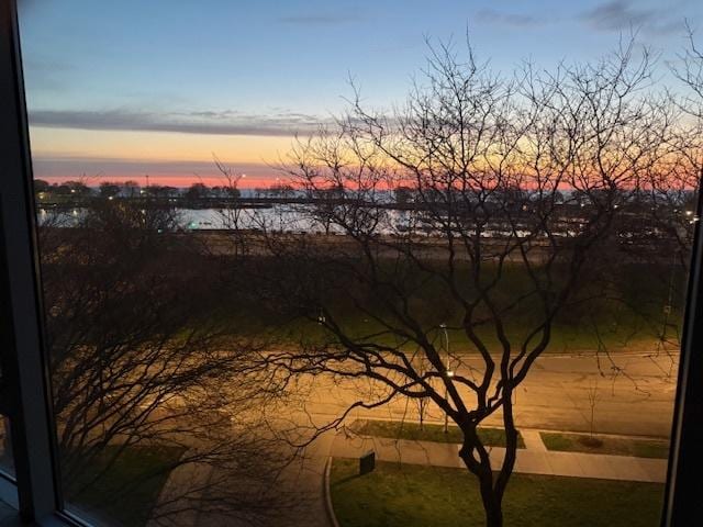3180 N Lake Shore Dr Unit 4F, Chicago, IL 60657 - water view