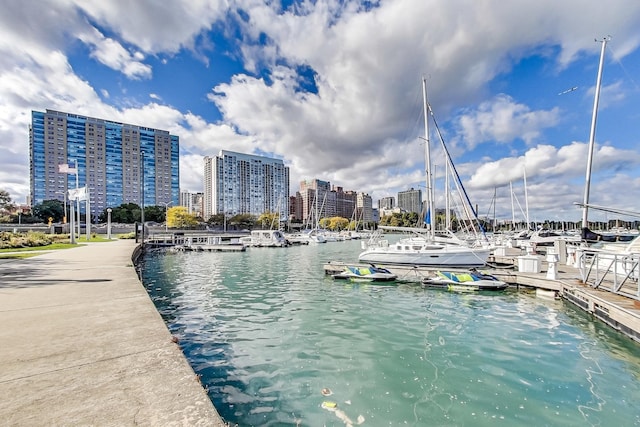 3180 N Lake Shore Dr Unit 4F, Chicago, IL 60657 - water view with a boat dock and nearby urban area