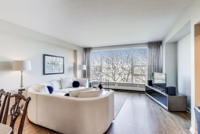 3180 N Lake Shore Dr Unit 4F, Chicago, IL 60657 - living room featuring a baseboard heating unit and wood finished floors