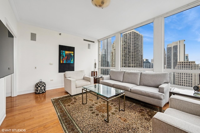 living room featuring baseboards, light wood finished floors, a view of city, and a wall of windows