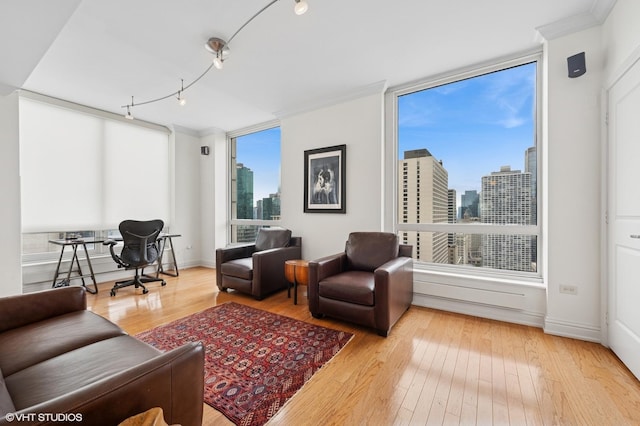 living room featuring a city view and wood-type flooring