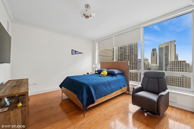 bedroom featuring a city view, wood finished floors, and baseboards
