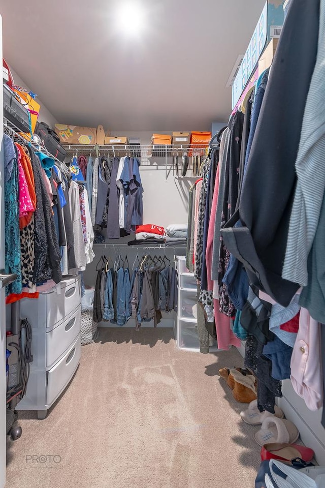 spacious closet with carpet floors