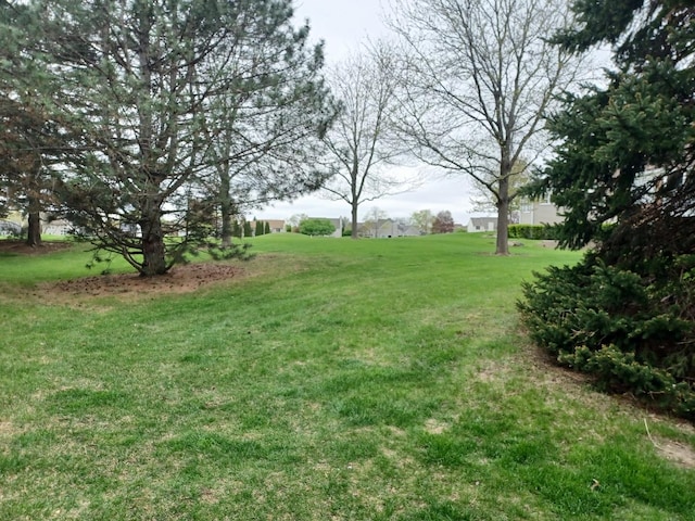 view of green lawn