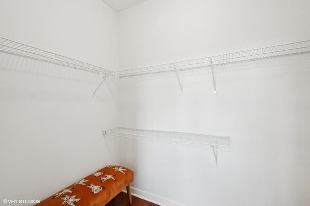 spacious closet with wood finished floors