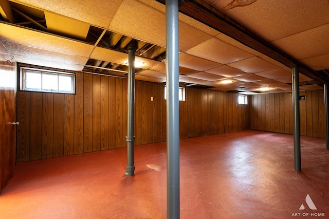 10041 S Calumet Ave, Chicago, IL 60628 - basement with wood walls