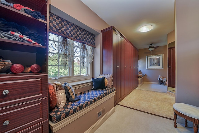 305 S Wright St, Naperville, IL 60540 - corridor with light carpet and visible vents