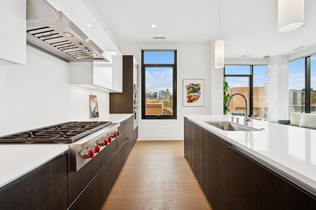 kitchen with dark brown cabinets, a sink, modern cabinets, exhaust hood, and stainless steel gas cooktop
