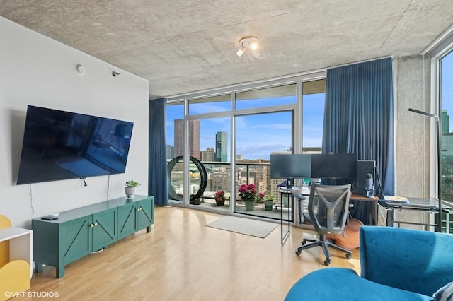 home office with expansive windows and light wood-style floors