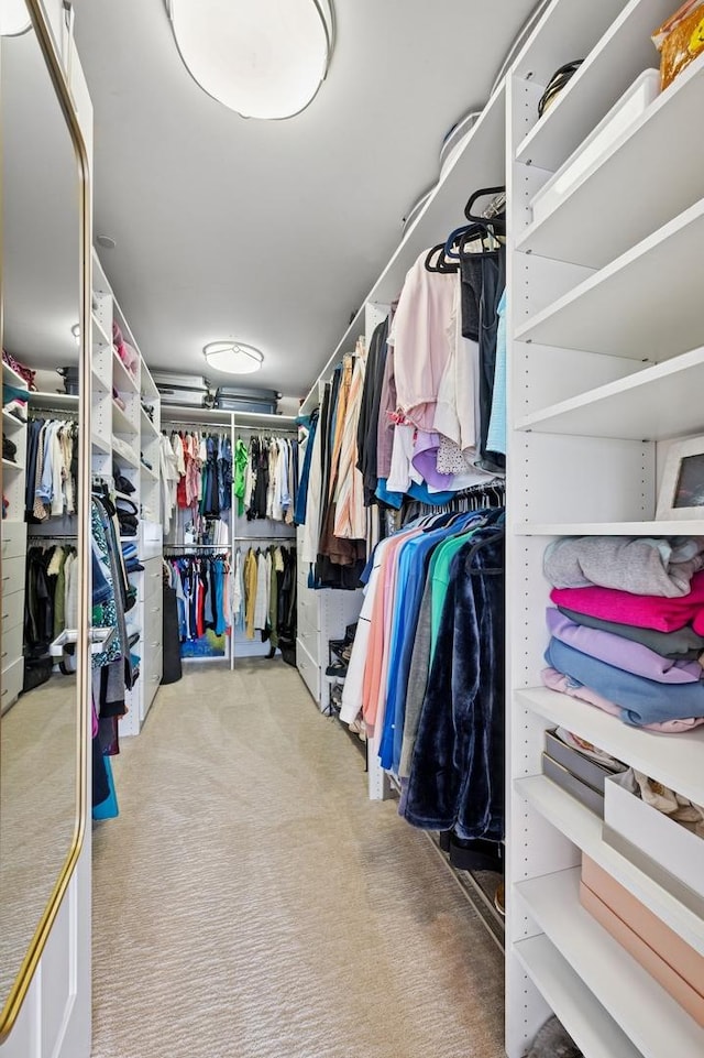 518 Winnetka Ave Unit 301, Winnetka, IL 60093 - walk in closet with carpet flooring