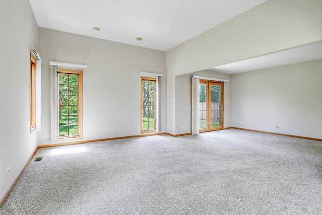 13860 Steeples Rd, Lemont, IL 60439 - spare room featuring carpet flooring, plenty of natural light, and baseboards