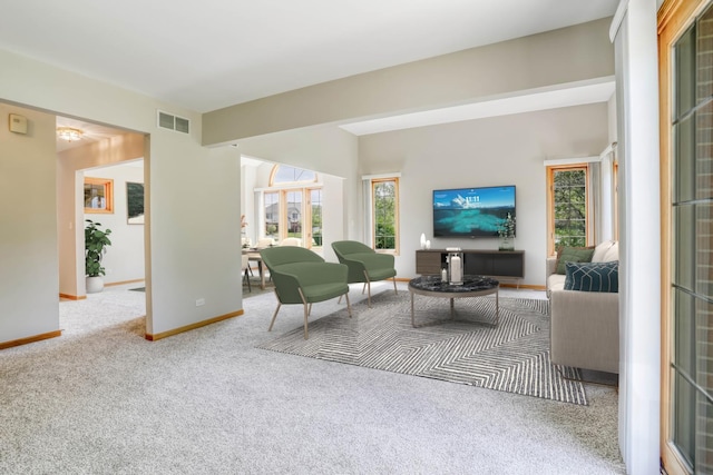 13860 Steeples Rd, Lemont, IL 60439 - living area with carpet and baseboards