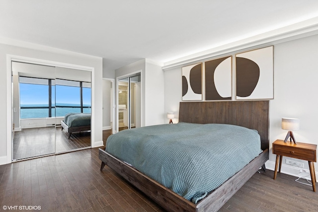 5415 N Sheridan Rd Unit 3004, Chicago, IL 60640 - bedroom with wood-type flooring, a water view, and baseboards