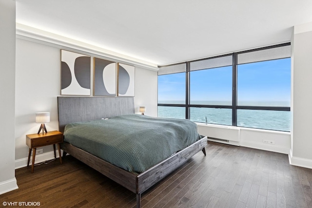 5415 N Sheridan Rd Unit 3004, Chicago, IL 60640 - bedroom featuring dark wood-style floors, baseboards, and a water view