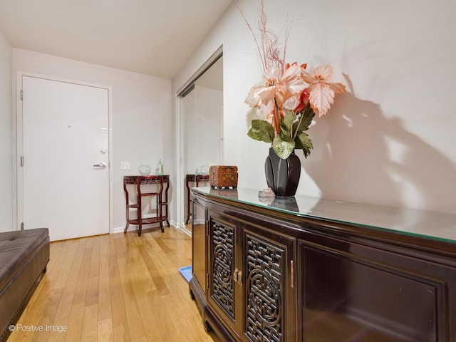 1515 S Prairie Ave Unit 1306, Chicago, IL 60605 - foyer featuring light wood-style floors and baseboards