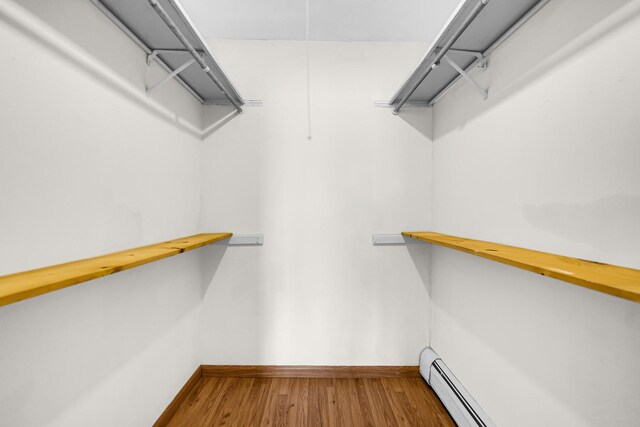 spacious closet featuring wood finished floors
