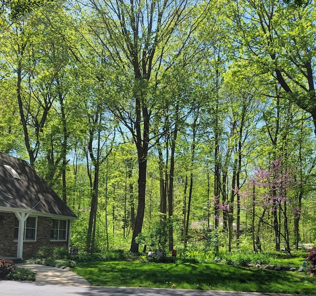 6N241 Roselle Rd, Roselle, IL 60172 - view of yard