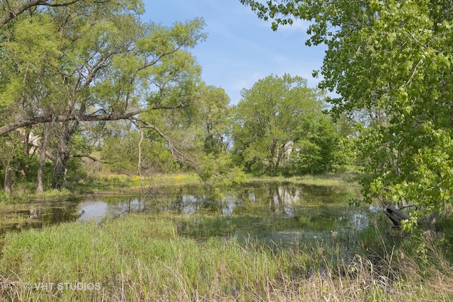 1443 Spring Brook Ct Unit 1B, Round Lake Beach, IL 60073 - water view