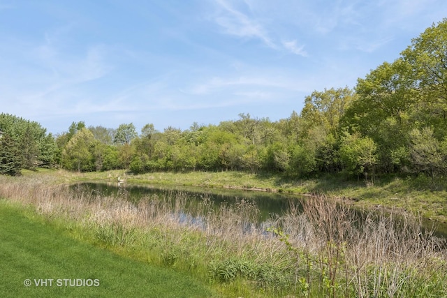 1443 Spring Brook Ct Unit 1B, Round Lake Beach, IL 60073 - view of tree filled area with a water view