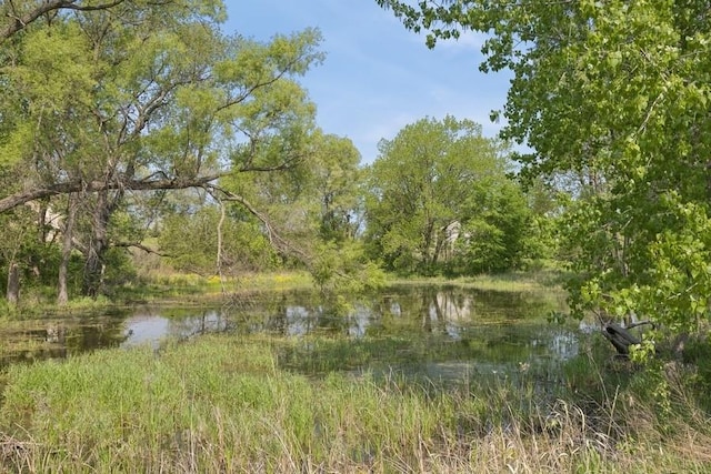 1443 Spring Brook Ct Unit 1B, Round Lake Beach, IL 60073 - view of local wilderness featuring a large body of water