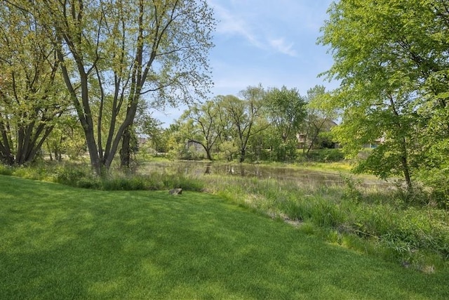 1443 Spring Brook Ct Unit 1B, Round Lake Beach, IL 60073 - view of grassy yard