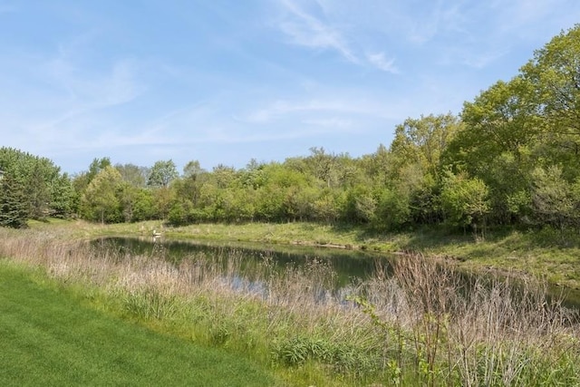1443 Spring Brook Ct Unit 1B, Round Lake Beach, IL 60073 - view of tree filled area with a water view