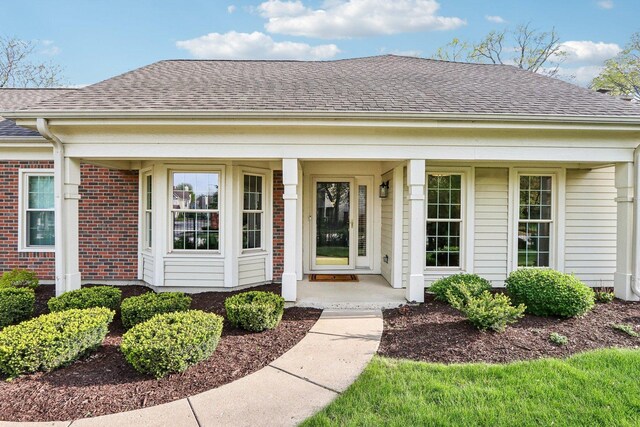 316 Spring Creek Cir, Schaumburg, IL 60173 - doorway to property featuring roof with shingles, a porch, and brick siding