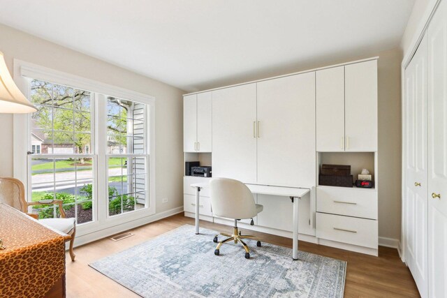 316 Spring Creek Cir, Schaumburg, IL 60173 - home office with light wood-style flooring