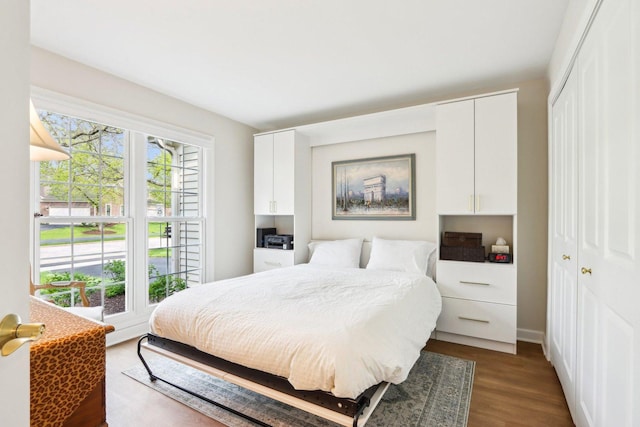 316 Spring Creek Cir, Schaumburg, IL 60173 - bedroom with dark wood-type flooring and a closet