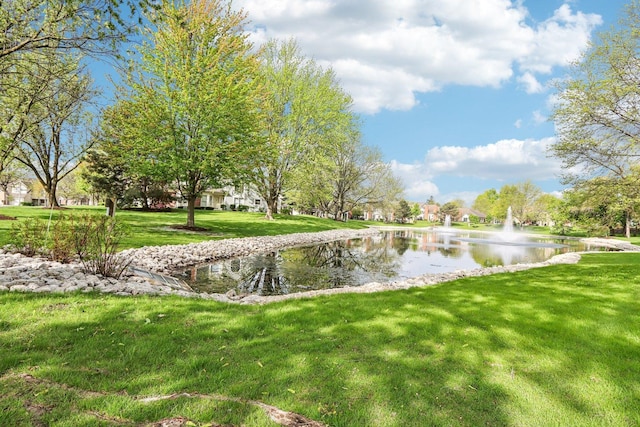 316 Spring Creek Cir, Schaumburg, IL 60173 - surrounding community with a water view and a yard