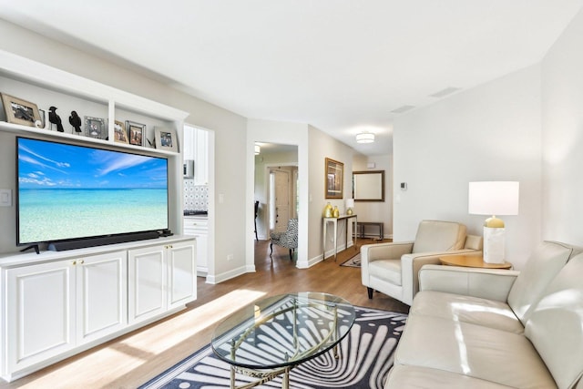 316 Spring Creek Cir, Schaumburg, IL 60173 - living area featuring light wood-type flooring and baseboards