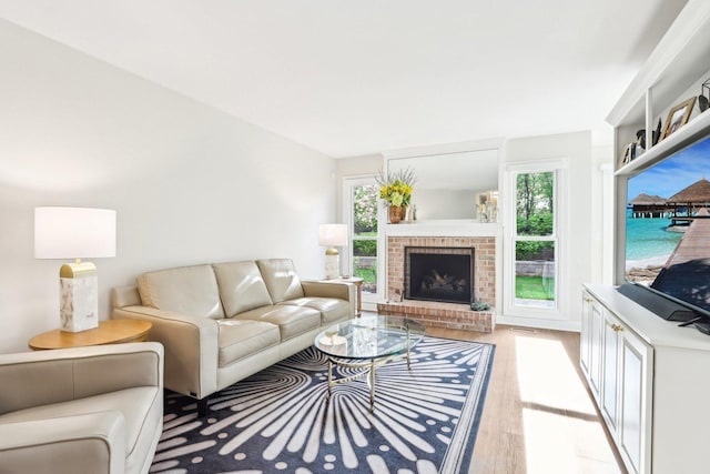 316 Spring Creek Cir, Schaumburg, IL 60173 - living room featuring light wood-type flooring and a fireplace