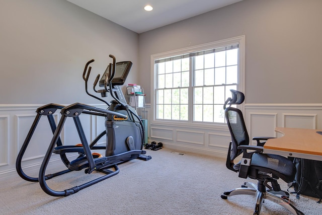 893 S Plum Grove Rd, Palatine, IL 60067 - exercise room with a decorative wall, carpet, a wainscoted wall, and recessed lighting