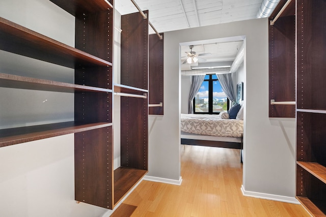 spacious closet featuring wood finished floors and ceiling fan