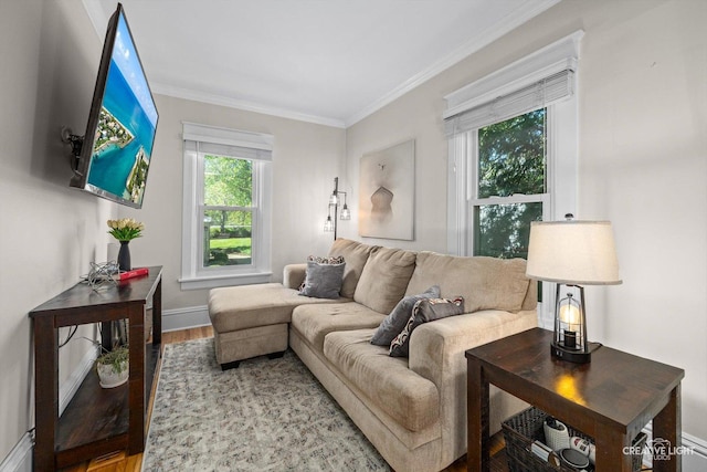 759 E Wilson St, Batavia, IL 60510 - living room with wood finished floors, crown molding, and baseboards