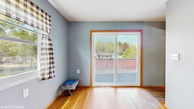 121 Northern Ter, Island Lake, IL 60042 - doorway with plenty of natural light, light wood-style flooring, and baseboards
