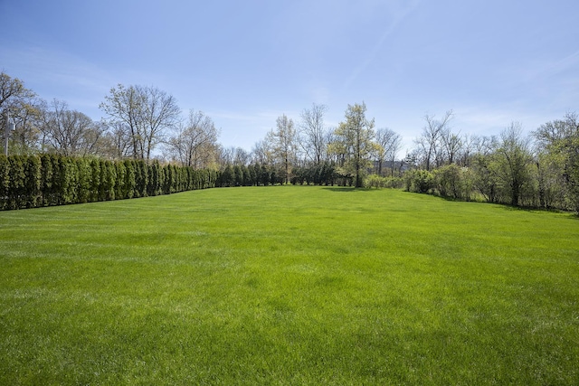 1630 Ridge Rd, Highland Park, IL 60035 - view of green lawn