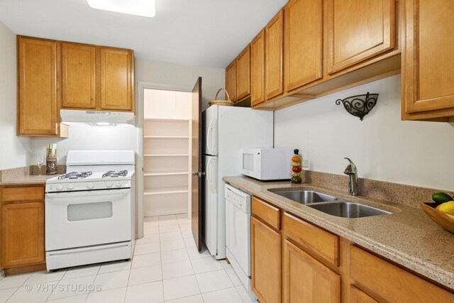 584 Williamsburg Ct Unit C2, Wheeling, IL 60090 - living area featuring light carpet, a stone fireplace, a chandelier, and light tile patterned flooring
