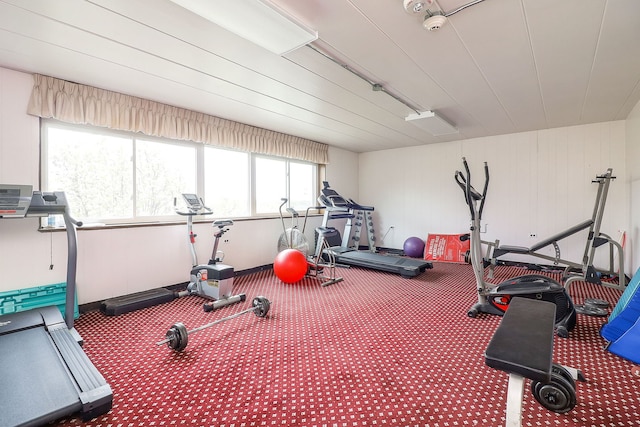 5300 Walnut Ave Unit 4D, Downers Grove, IL 60515 - workout area with carpet and baseboards