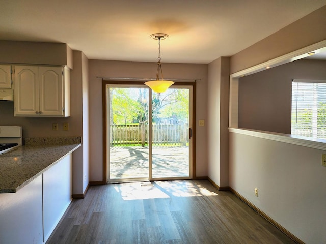 unfurnished dining area featuring wood finished floors, baseboards, and plenty of natural light
