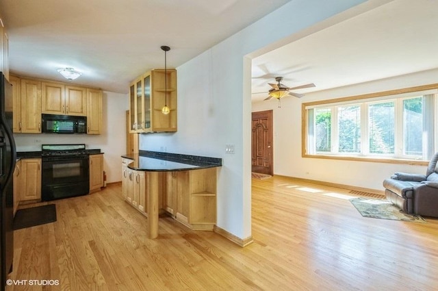 5116 N New England Ave, Chicago, IL 60656 - kitchen featuring black appliances, light wood-style floors, and dark countertops