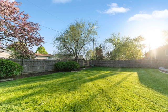 view of yard featuring a fenced backyard