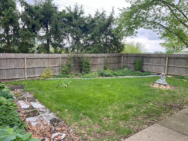 view of yard with a fenced backyard