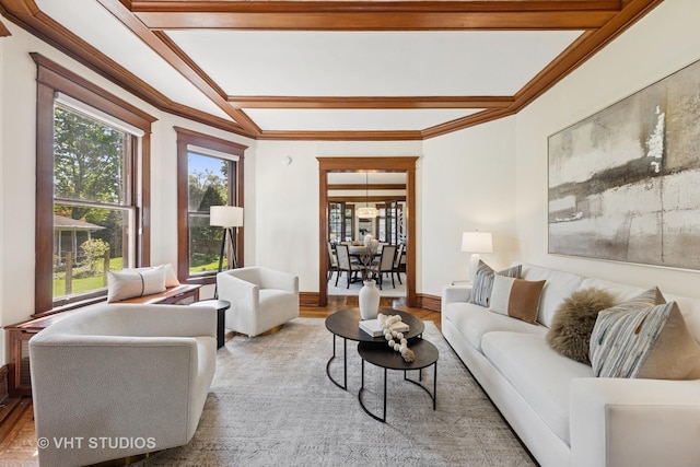 living area featuring wood finished floors