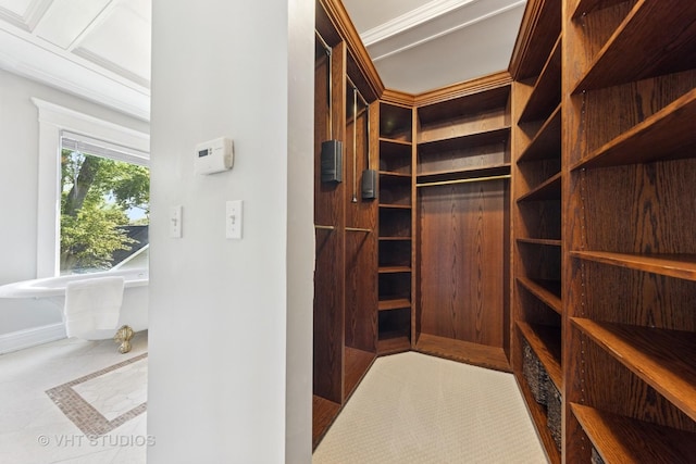 view of walk in closet